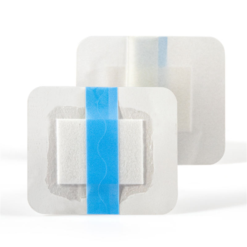 Pansement transparent pour couteau en S